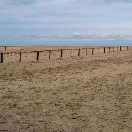 In Belgium Near St-andre Dunes *