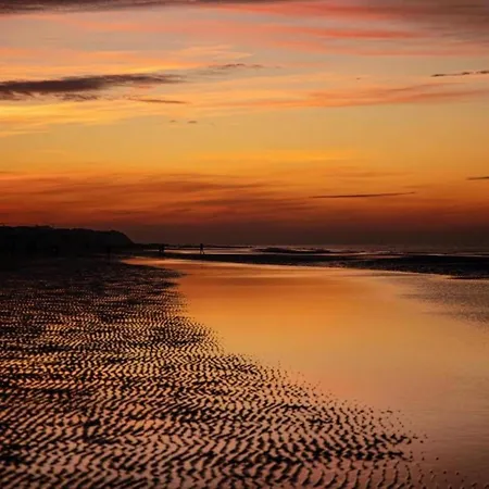 In Belgium Near St-andre Dunes *