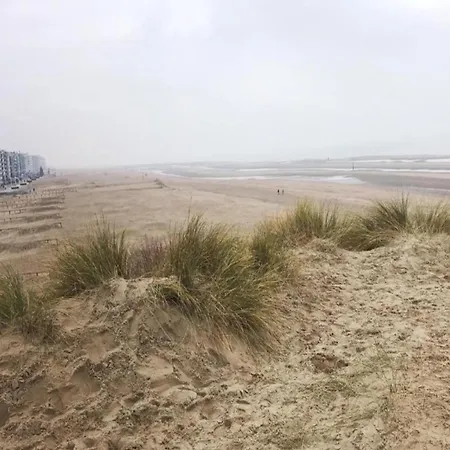 Vitalo 401 With Sea View Located On The Dike Koksijde