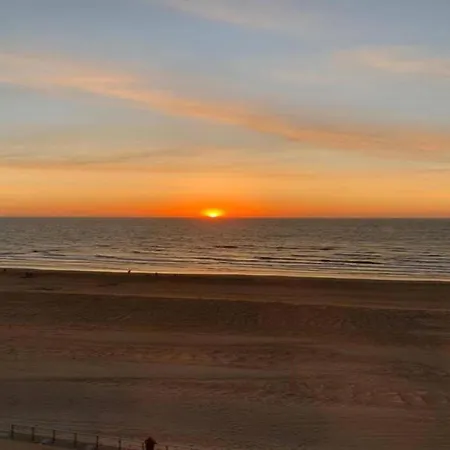 In Belgium Near St-andre Dunes Koksijde