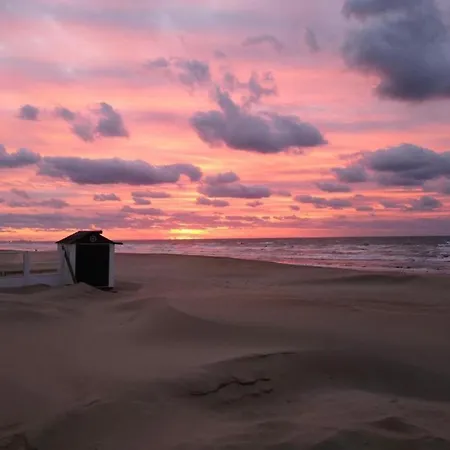 In Belgium Near St-andre Dunes * Koksijde