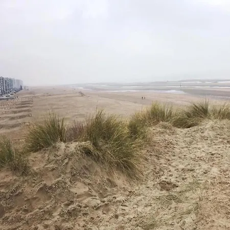 Apartment Vitalo 401 With Sea View Located On The Dike