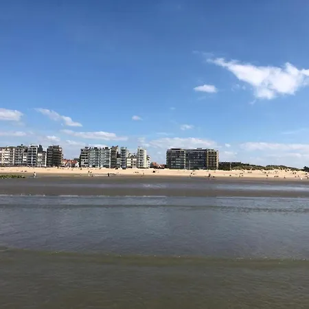 Vitalo 401 With Sea View Located On The Dike Koksijde