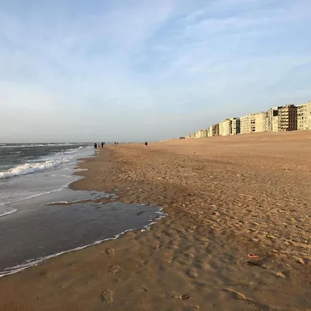 Vitalo 401 With Sea View Located On The Dike Apartment *